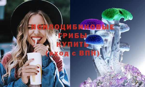 мдпв Бугульма